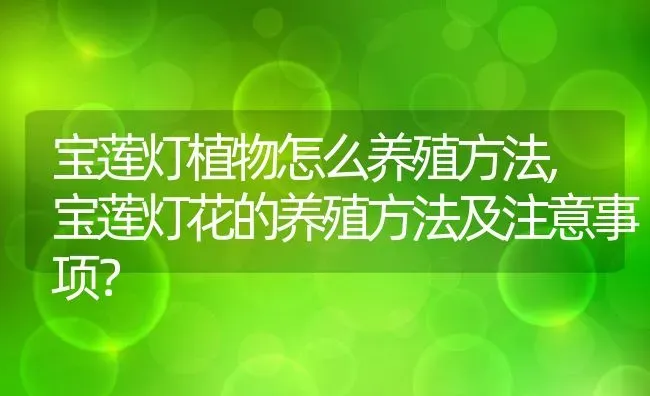 大白菜是生吃好还是熟吃好,白菜可以生吃吗? | 养殖常见问题