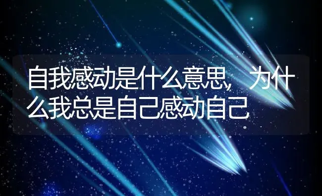 三角梅花期多长时间花期是什么时候,三角梅几月开花十一月落叶会发芽开花吗？ | 养殖常见问题