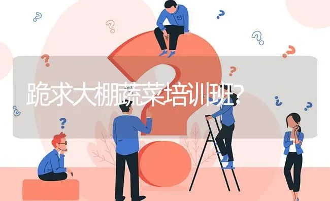 跪求大棚蔬菜培训班? | 养殖问题解答