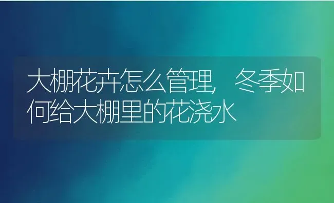 大棚花卉怎么管理,冬季如何给大棚里的花浇水 | 养殖常见问题
