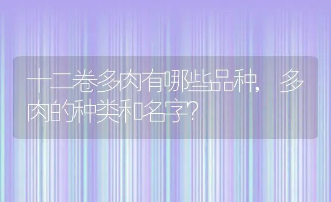 十二卷多肉有哪些品种,多肉的种类和名字？ | 养殖常见问题