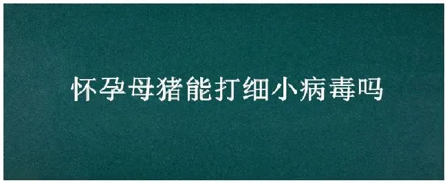 怀孕母猪能打细小病毒吗 | 农业常识