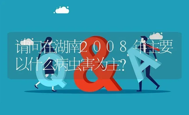 请问在湖南2008年主要以什么病虫害为主? | 养殖问题解答