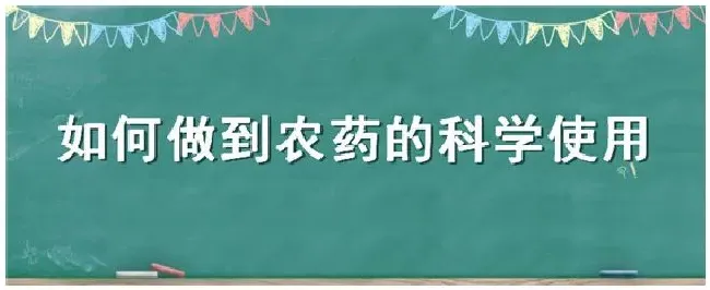 如何做到农药的科学使用 | 农业常识