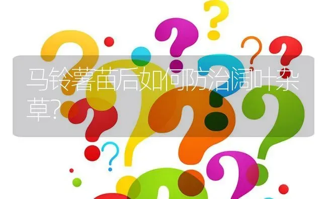 马铃薯苗后如何防治阔叶杂草? | 养殖问题解答