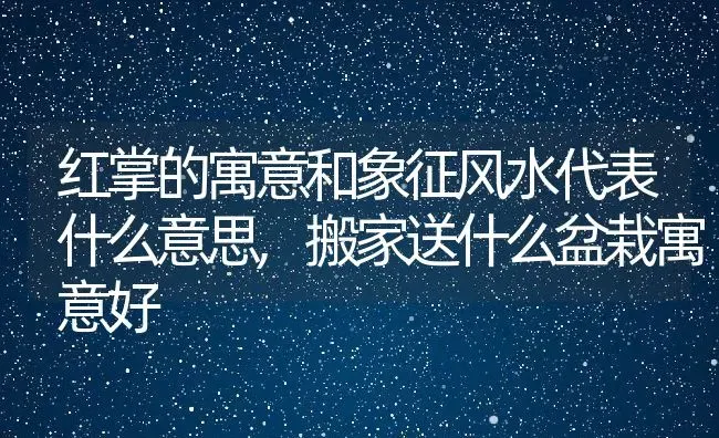 红掌的寓意和象征风水代表什么意思,搬家送什么盆栽寓意好 | 养殖常见问题