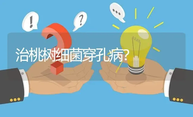 治桃树细菌穿孔病? | 养殖问题解答