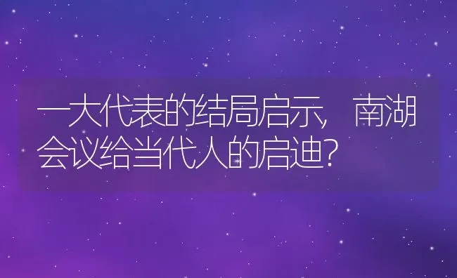 一大代表的结局启示,南湖会议给当代人的启迪？ | 养殖常见问题