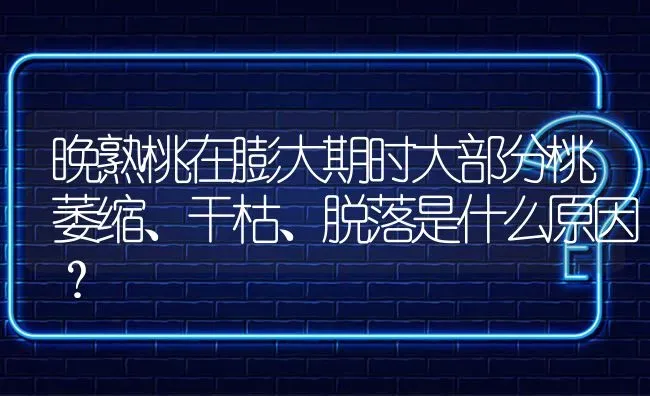 晚熟桃在膨大期时大部分桃萎缩、干枯、脱落是什么原因? | 养殖问题解答