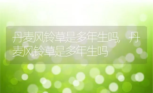 丹麦风铃草是多年生吗,丹麦风铃草是多年生吗 | 养殖常见问题