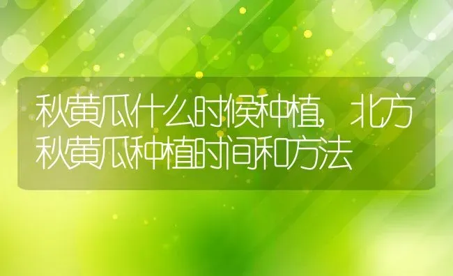 秋黄瓜什么时候种植,北方秋黄瓜种植时间和方法 | 养殖常见问题