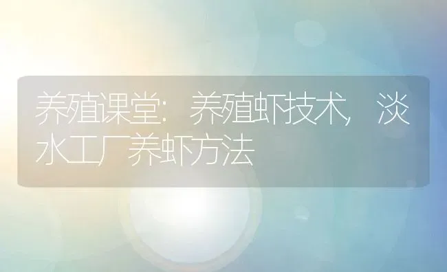 养殖课堂:养殖虾技术,淡水工厂养虾方法 | 养殖常见问题