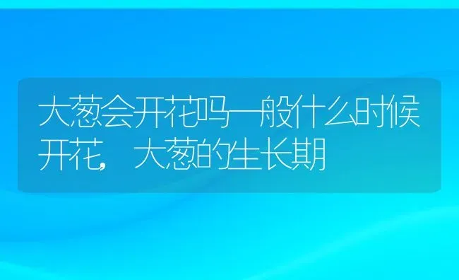 大葱会开花吗一般什么时候开花,大葱的生长期 | 养殖常见问题