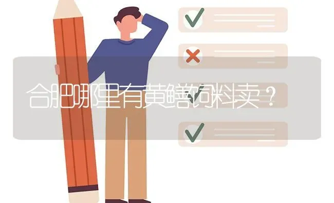 关于鸡的喂养? | 养殖问题解答