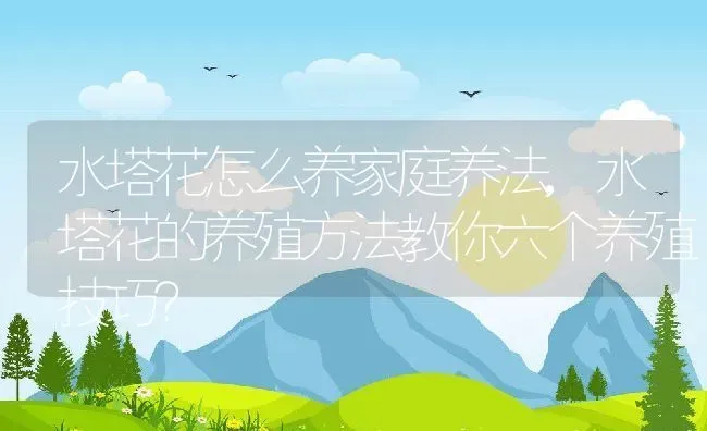 水塔花怎么养家庭养法,水塔花的养殖方法教你六个养殖技巧？ | 养殖常见问题