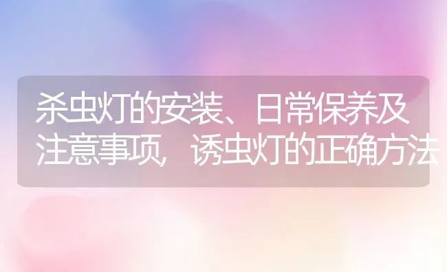 杀虫灯的安装、日常保养及注意事项,诱虫灯的正确方法 | 养殖常见问题