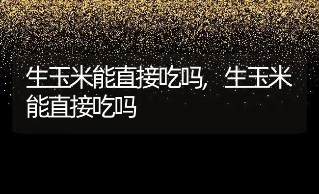 生玉米能直接吃吗,生玉米能直接吃吗 | 养殖常见问题