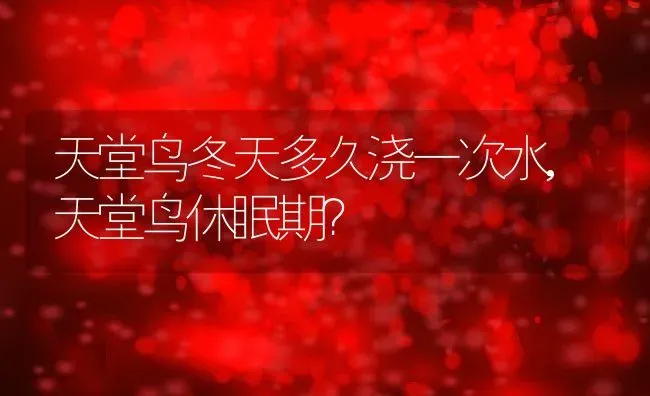 天堂鸟冬天多久浇一次水,天堂鸟休眠期？ | 养殖常见问题