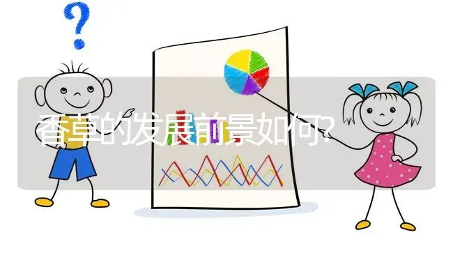 香草的发展前景如何? | 养殖问题解答