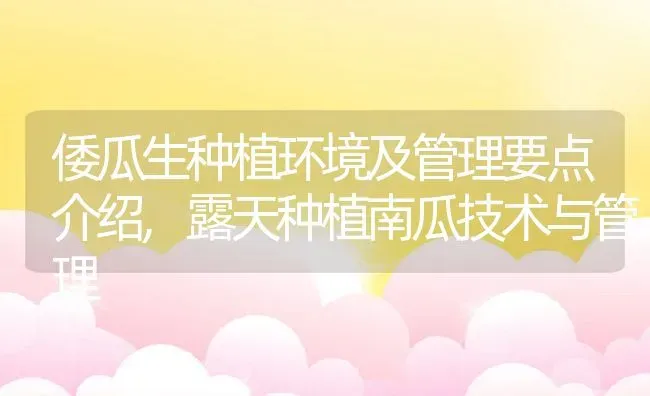 倭瓜生种植环境及管理要点介绍,露天种植南瓜技术与管理 | 养殖常见问题