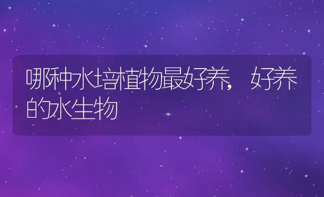 哪种水培植物最好养,好养的水生物 | 养殖常见问题