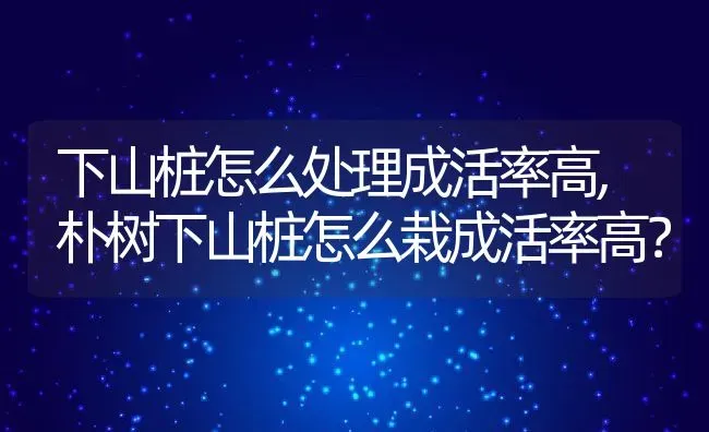 下山桩怎么处理成活率高,朴树下山桩怎么栽成活率高？ | 养殖常见问题