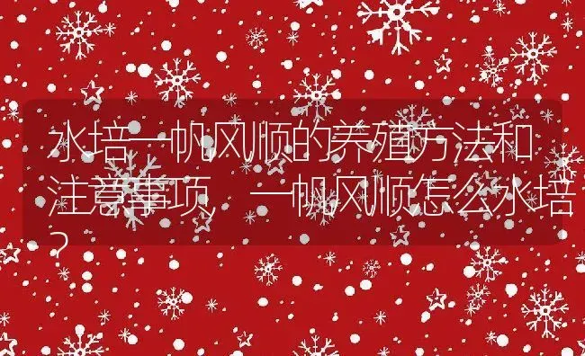 水培一帆风顺的养殖方法和注意事项,一帆风顺怎么水培？ | 养殖常见问题