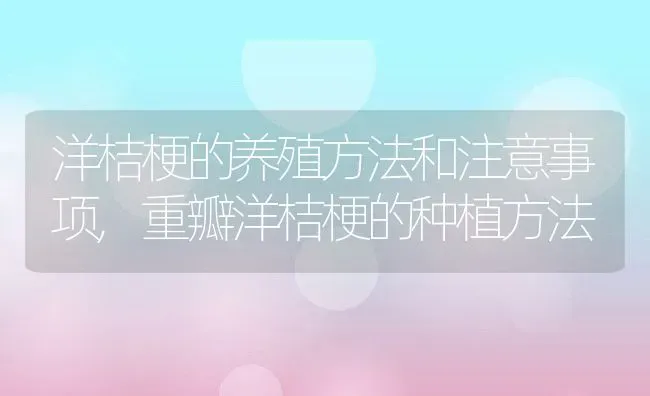 虎皮兰扦插分株方法及养护注意事项,虎皮兰的根长在一起怎么分 | 养殖常见问题