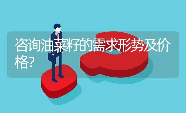 咨询油菜籽的需求形势及价格? | 养殖问题解答