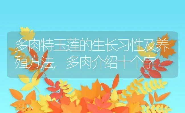 多肉特玉莲的生长习性及养殖方法,多肉介绍十个字 | 养殖常见问题