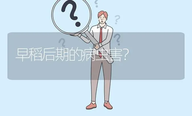 早稻后期的病虫害? | 养殖问题解答