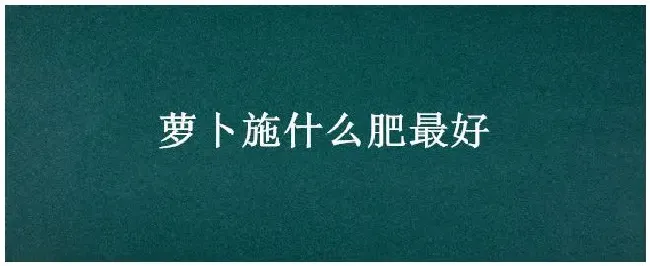 萝卜施什么肥最好 | 农业问题