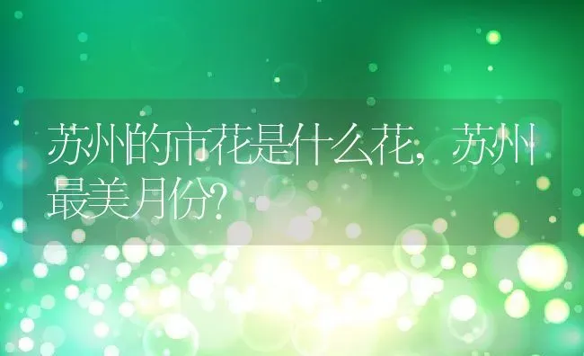 苏州的市花是什么花,苏州最美月份？ | 养殖常见问题