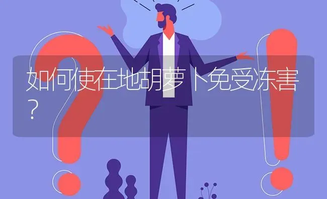 如何使在地胡萝卜免受冻害? | 养殖问题解答