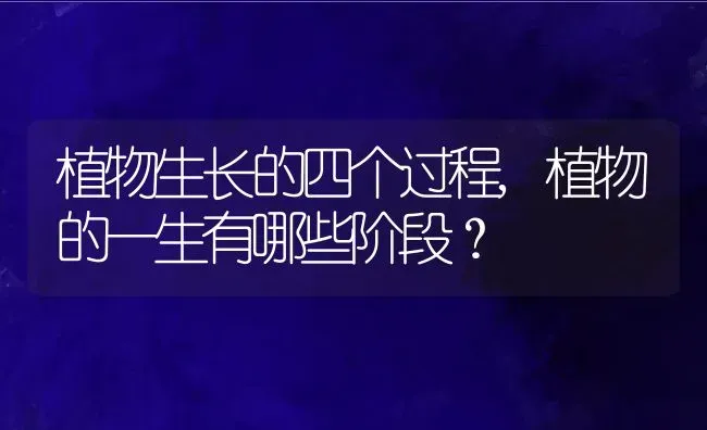 植物生长的四个过程,植物的一生有哪些阶段？ | 养殖常见问题