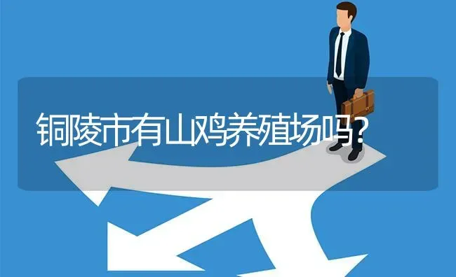 铜陵市有山鸡养殖场吗? | 养殖问题解答