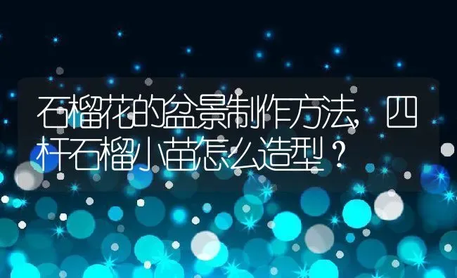 石榴花的盆景制作方法,四杆石榴小苗怎么造型？ | 养殖常见问题