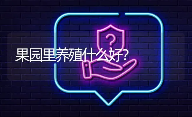 果园里养殖什么好? | 养殖问题解答