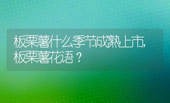 板栗薯什么季节成熟上市,板栗薯花语？ | 养殖常见问题