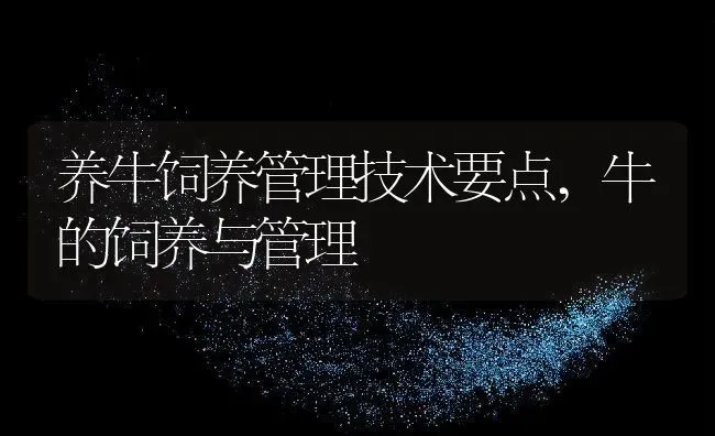 养牛饲养管理技术要点,牛的饲养与管理 | 养殖常见问题