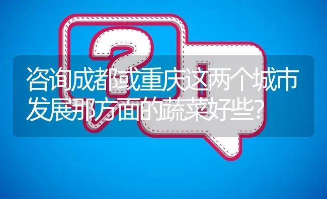 咨询成都或重庆这两个城市发展那方面的蔬菜好些? | 养殖问题解答