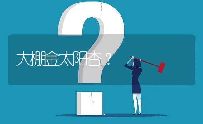 大棚金太阳杏? | 养殖问题解答
