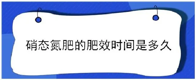 硝态氮肥的肥效时间是多久 | 农业常识