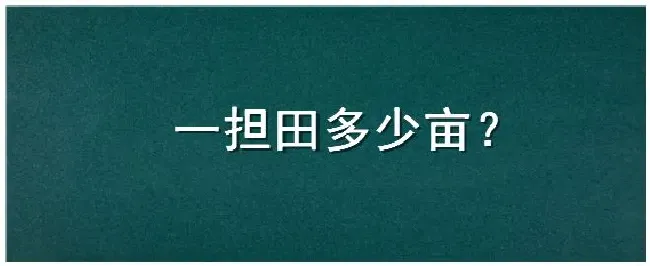 一担田多少亩 | 农业常识
