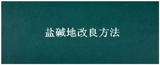 盐碱地改良方法 | 农业问题