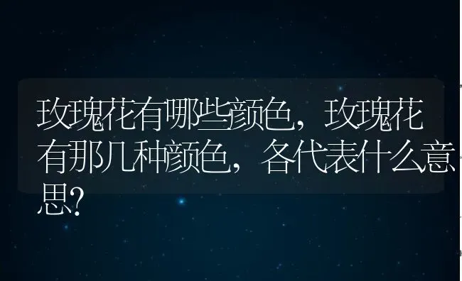 玫瑰花有哪些颜色,玫瑰花有那几种颜色,各代表什么意思？ | 养殖常见问题