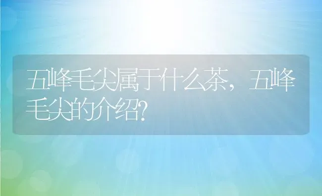 五峰毛尖属于什么茶,五峰毛尖的介绍？ | 养殖常见问题