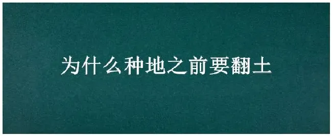 为什么种地之前要翻土 | 三农问答