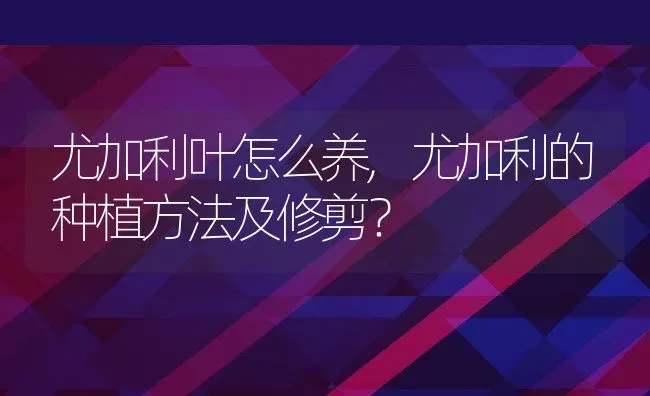 尤加利叶怎么养,尤加利的种植方法及修剪？ | 养殖常见问题