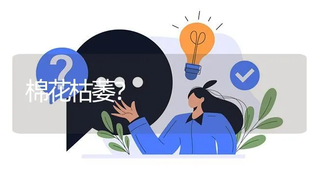 棉花枯萎? | 养殖问题解答